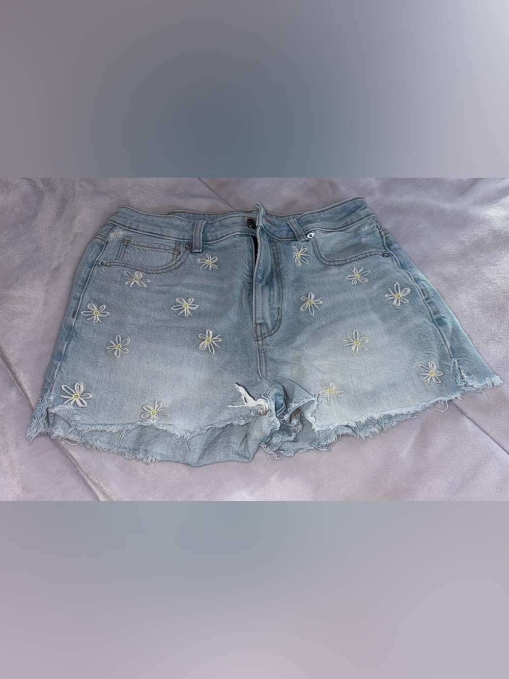 American Eagle Outfitters Light Blue Denim Shorts with Daisy Embroidery